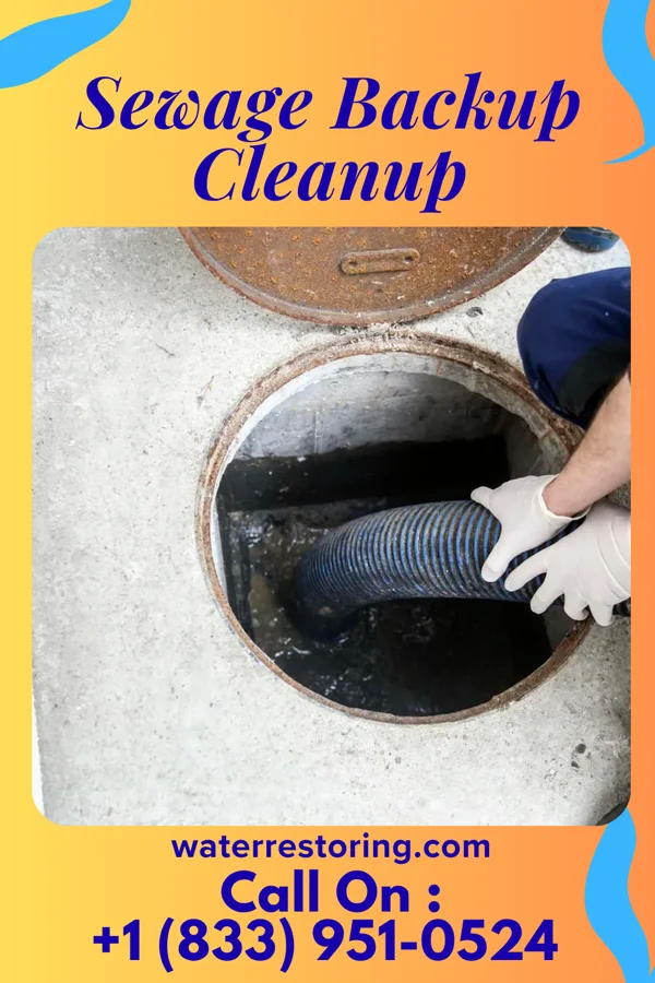 Sewage Backup Cleanup in Ocala, FL